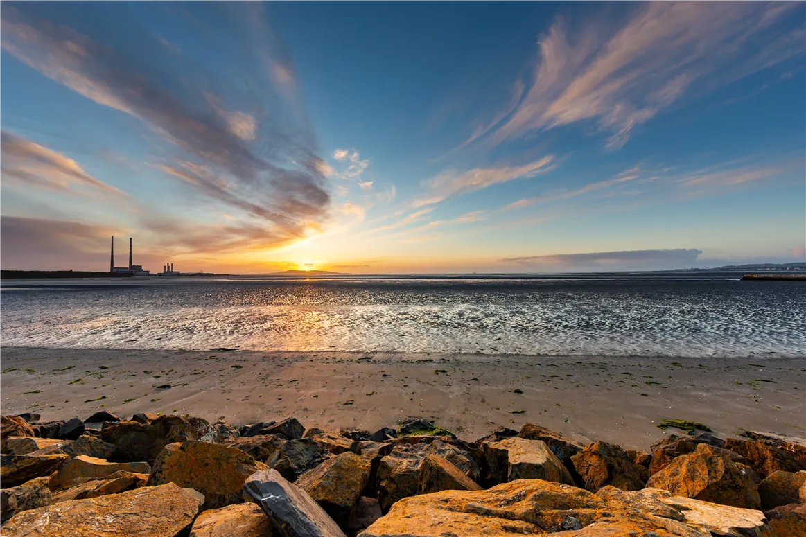 banner-image-desktop