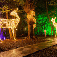 Wonderlights Malahide Castle and Gardens Co Dublin with a new show this Winter - Sandymount Hotel