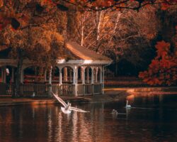 St Stephens Green bandstand autumn leaves Dublin City master cropped - Sandymount Hotel